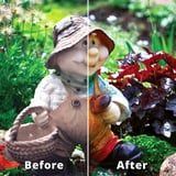 Rejuvenate Outdoor Color Restorer 16oz, 2pk