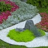 Rainforest Outdoor Decorative Stone, Natural Stone White Marble Chips, 30 lbs.